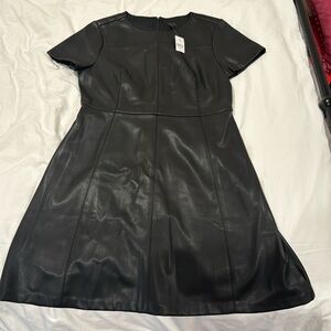 ann taylor dress